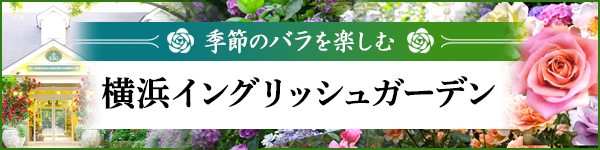 横浜イングリッシュガーデン
