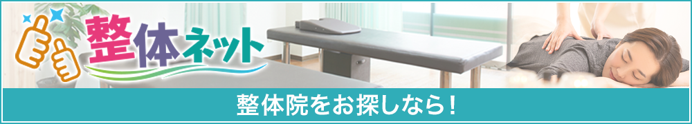 整体ネット