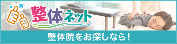 整体ネット