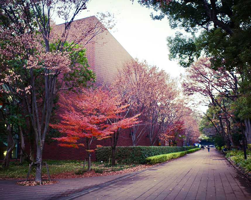 師走の紅葉