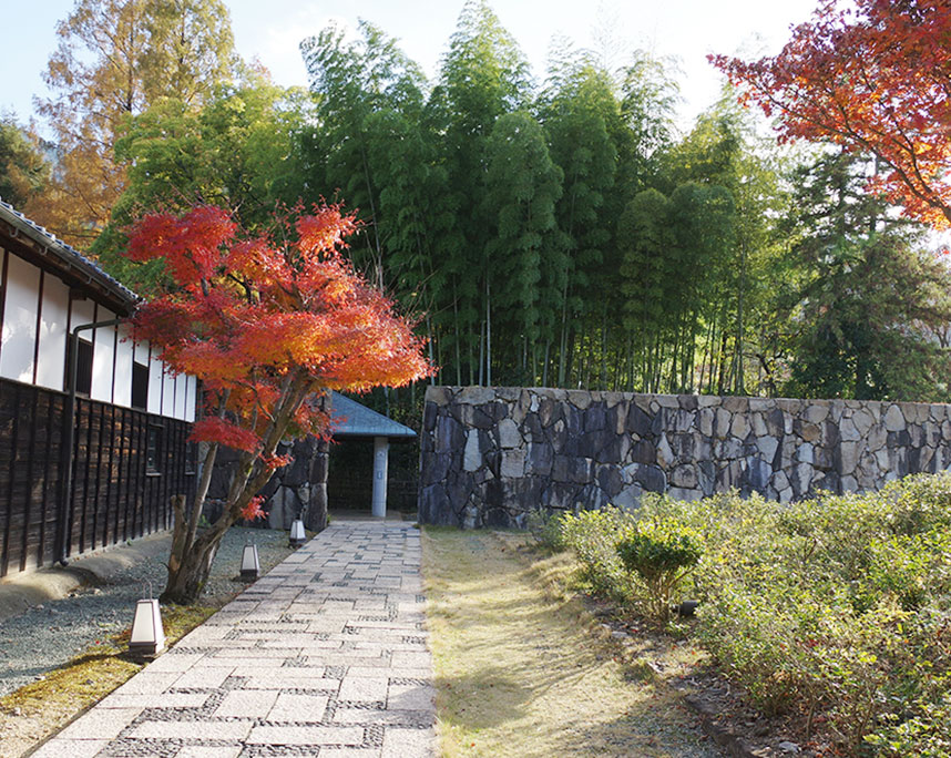 猫の居る風景