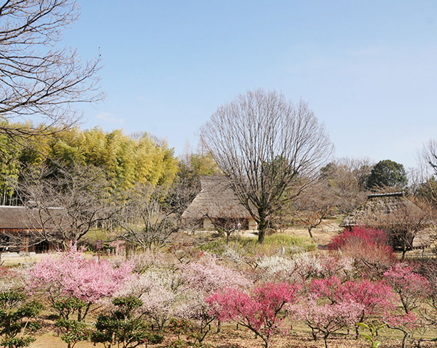懐かしい日本の風景